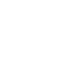 Wolf Logo